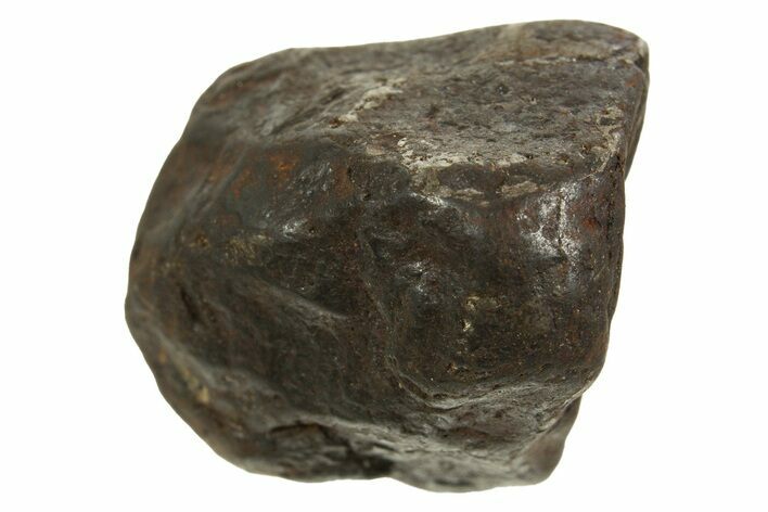 Canyon Diablo Iron Meteorite ( g) - Arizona #335970